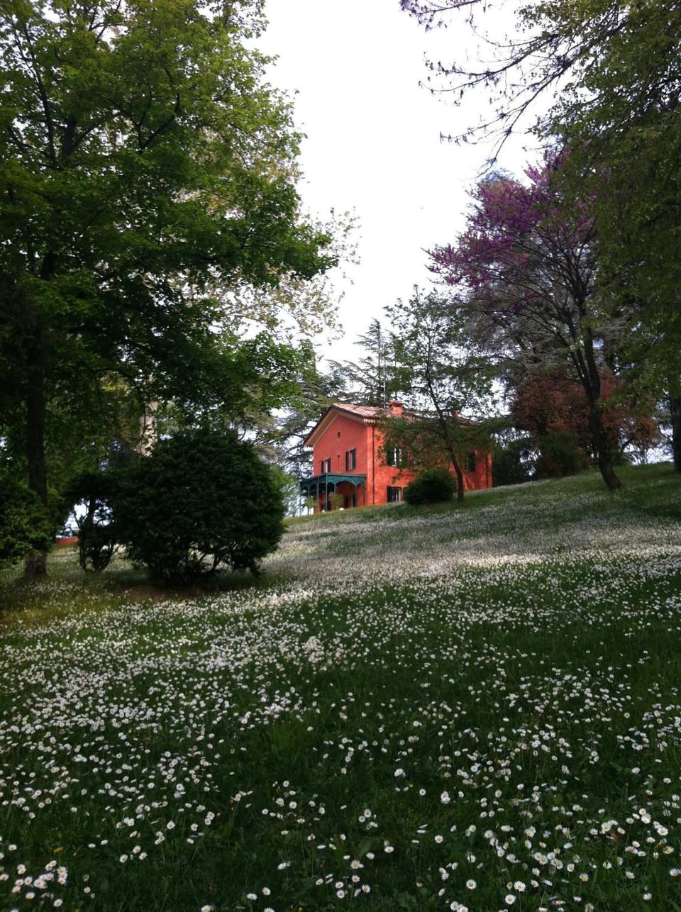 Facade/entrance, Garden