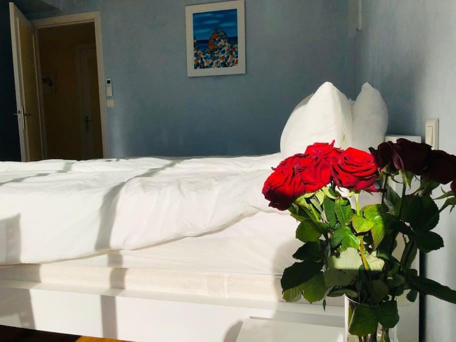 Appartement „Bellevue“ Villefranche-sur-Mer Apartment in Villefranche-sur-Mer