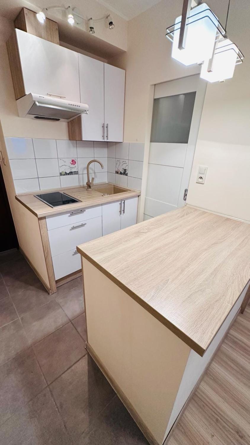 Kitchen or kitchenette, pet friendly