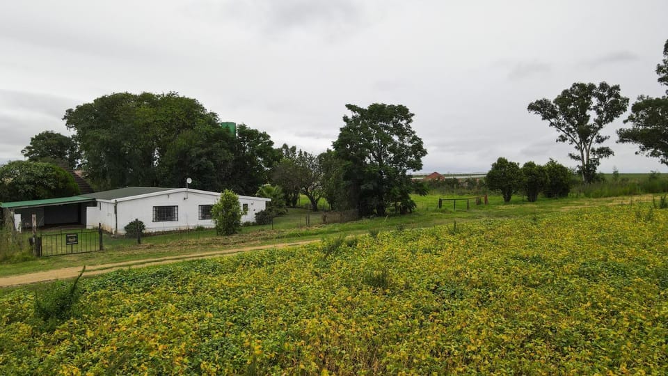 Property building, Natural landscape