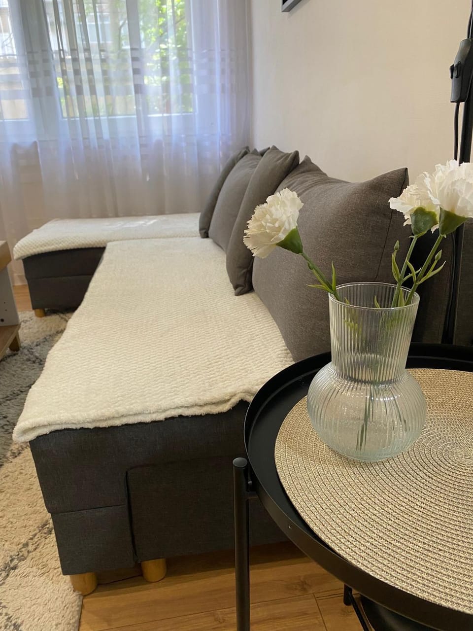 Urban Oasis Apartment Apartment in Belgrade