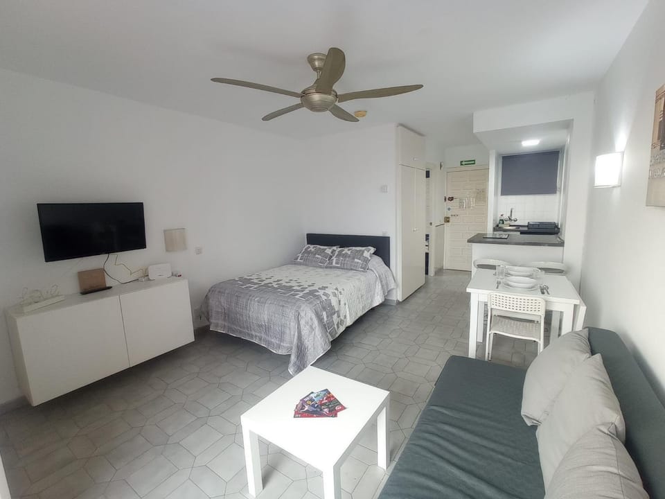 Bed, TV and multimedia, Photo of the whole room, fireplace