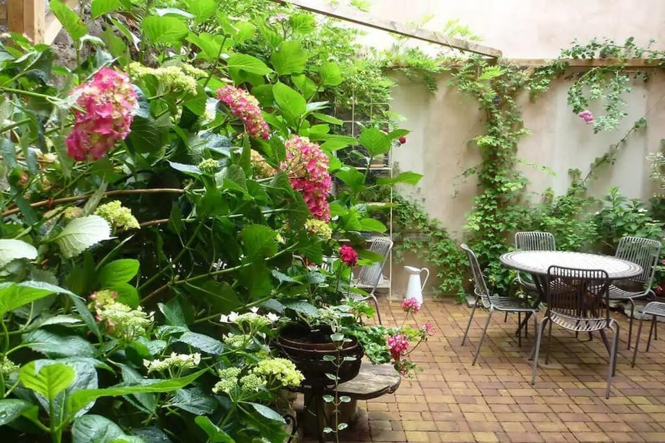 Patio, Dining area