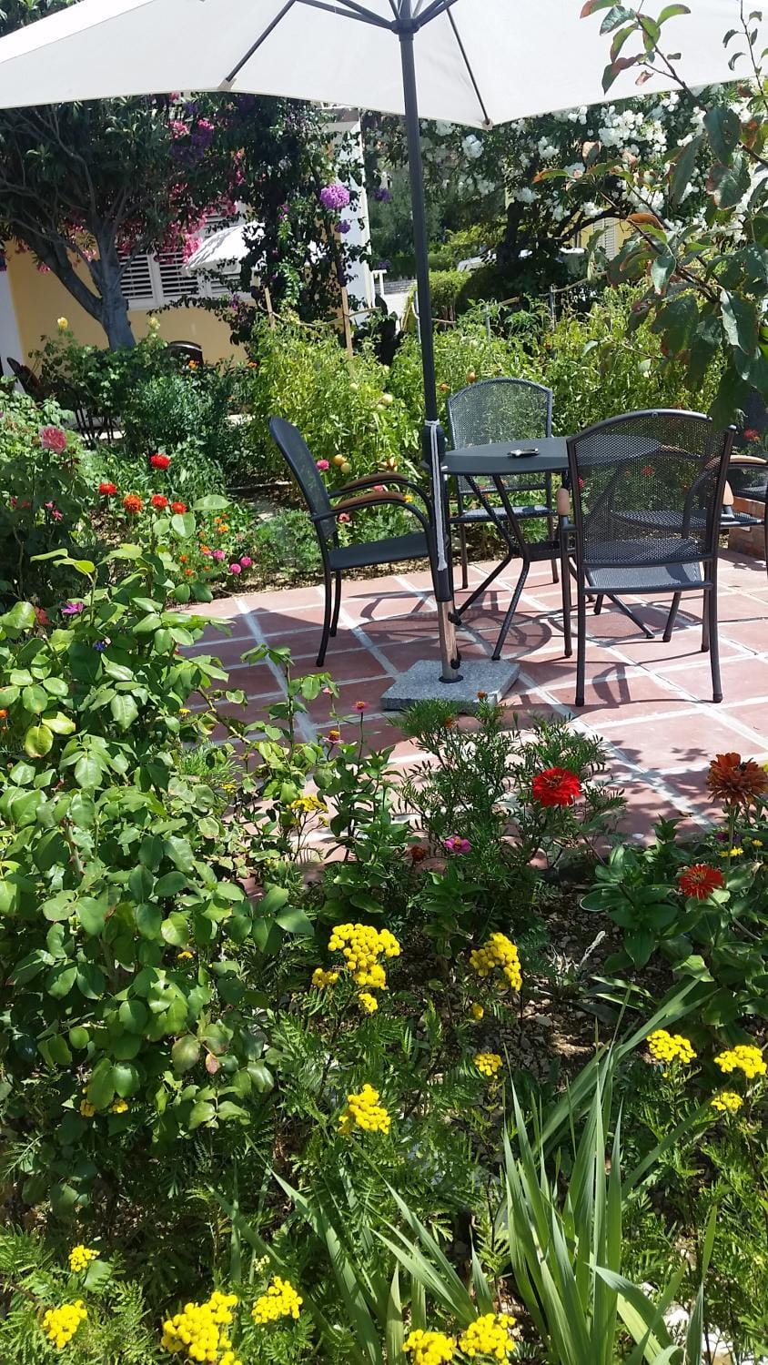 Patio, Garden