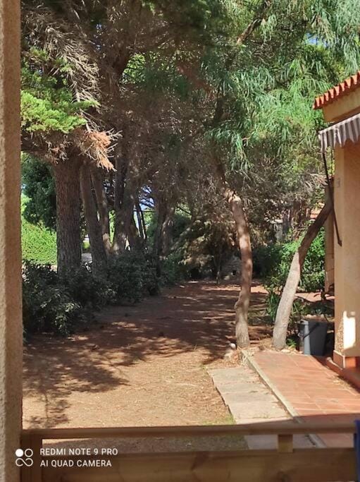 Casa a schiera - CÀ MELJ House in Sardinia
