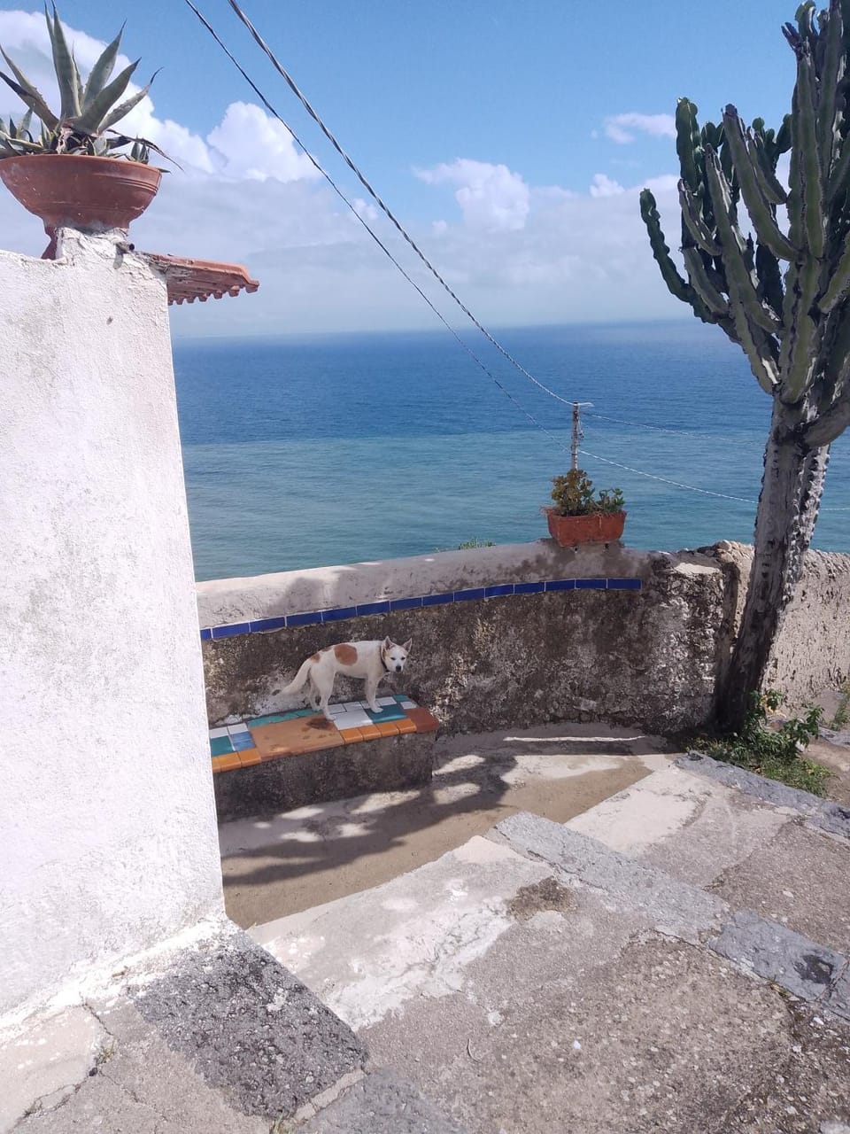 Neighbourhood, Sea view