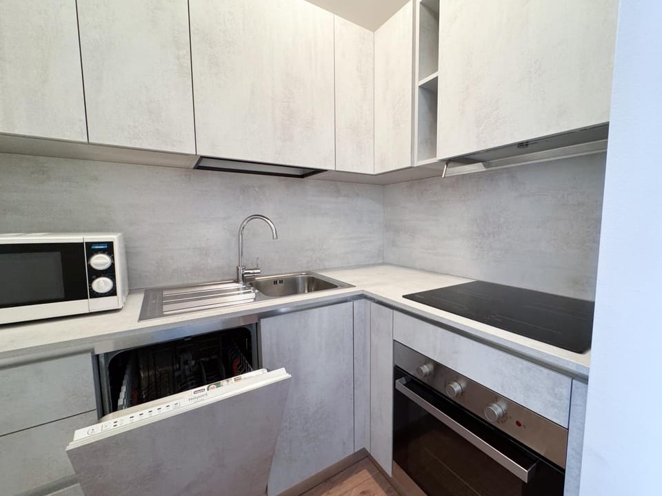 dishwasher, minibar, kitchen