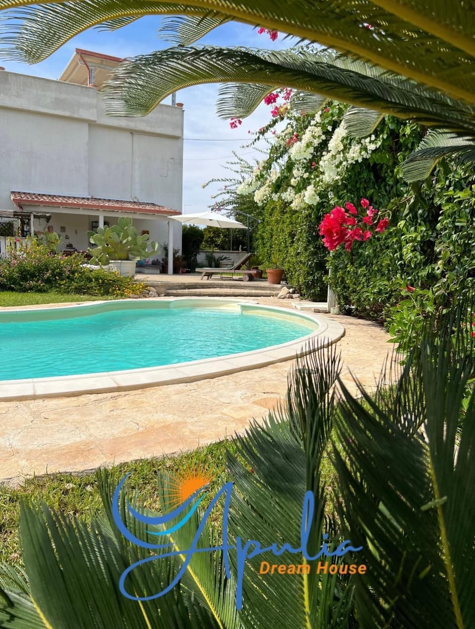 Garden, Garden view, Pool view, Swimming pool