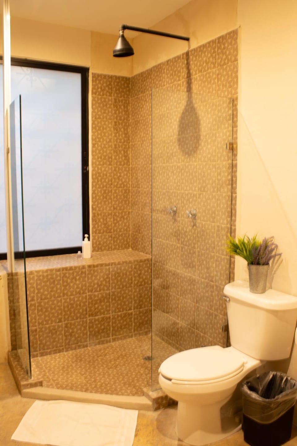 Shower, Toilet, Bathroom, bidet