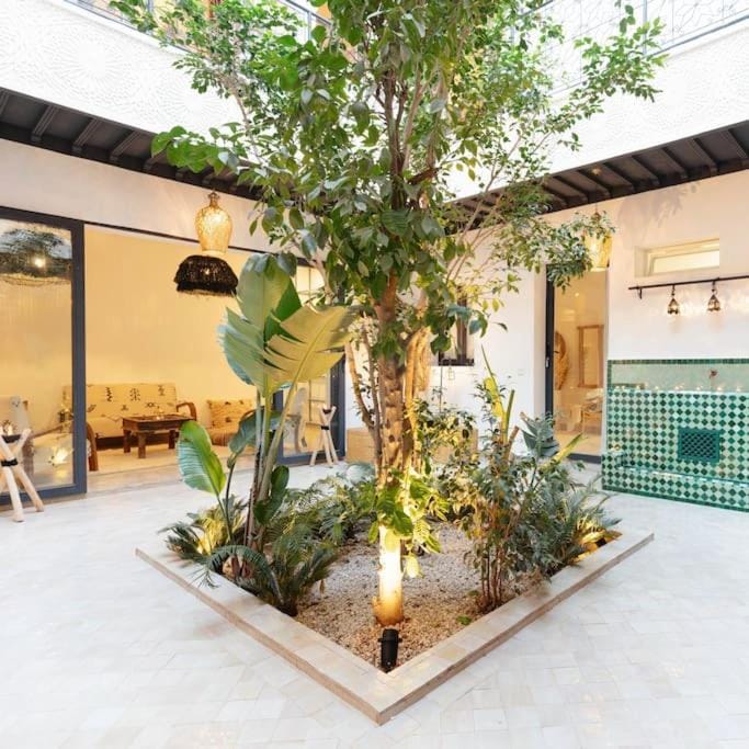 Riad Wadiya, privatif, piscine en rooftop. House in Marrakesh