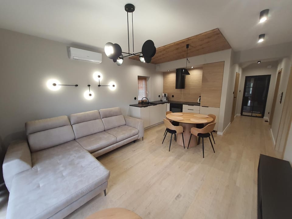 Kitchen or kitchenette, Living room, Seating area, Dining area, air conditioner