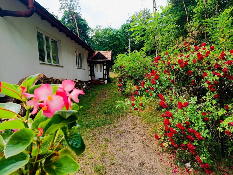 Apartament willa Radosna Apartment in Masovian Voivodeship