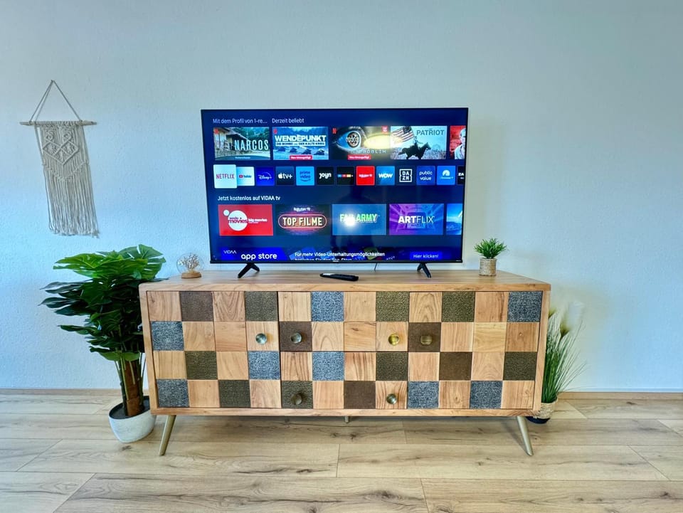 TV and multimedia