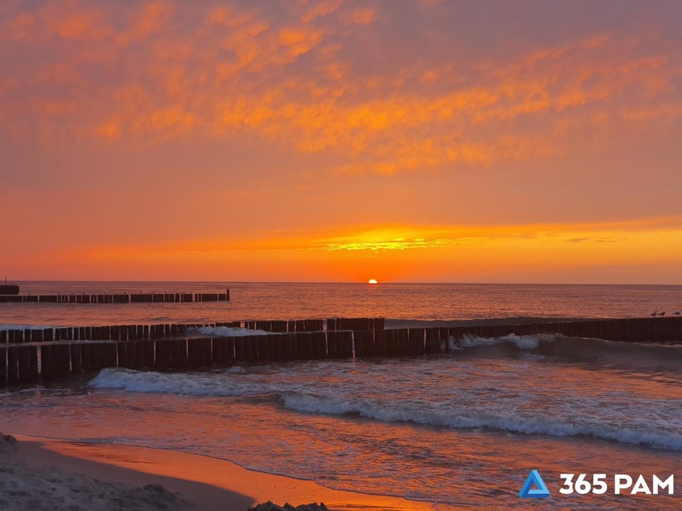 Natural landscape, Beach, Sunset