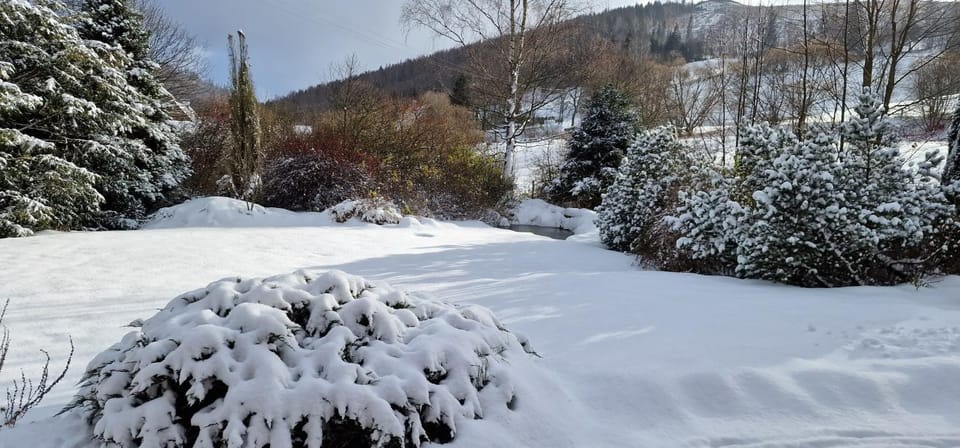 Winter, Mountain view