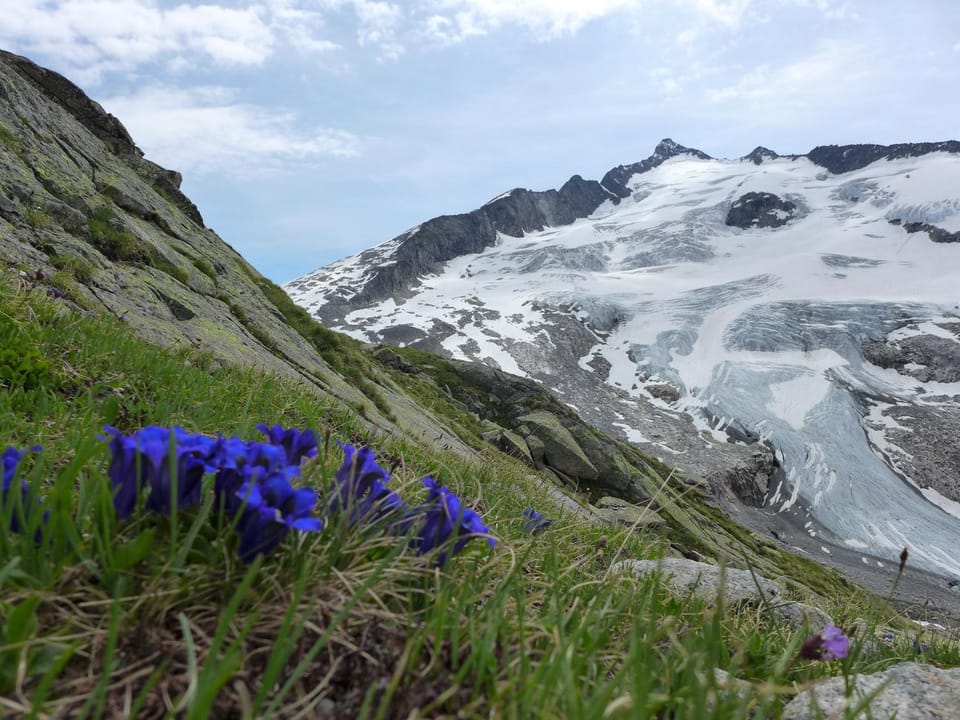 Natural landscape