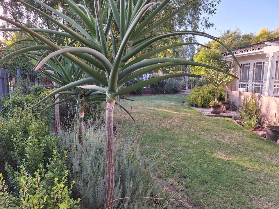 Garden view