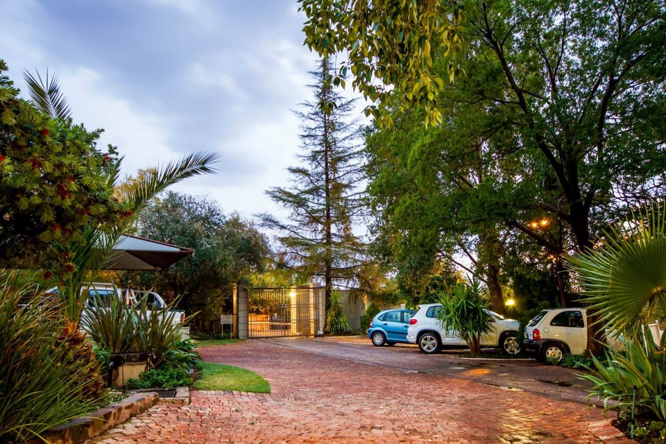 Night, Garden view, Inner courtyard view