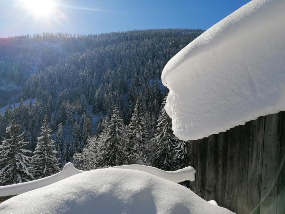 Leitnerbauer's Troadkasten Farm Stay in Upper Austria