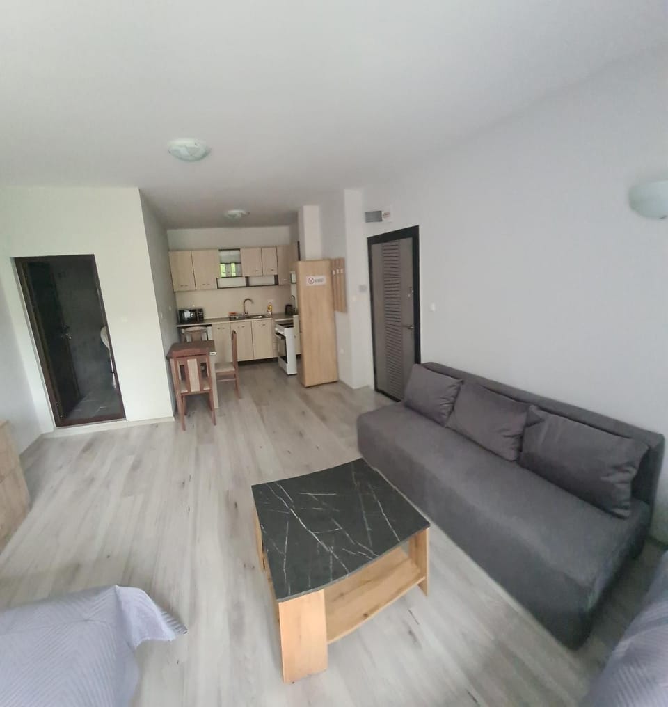 Kitchen or kitchenette, Living room, Seating area, Dining area