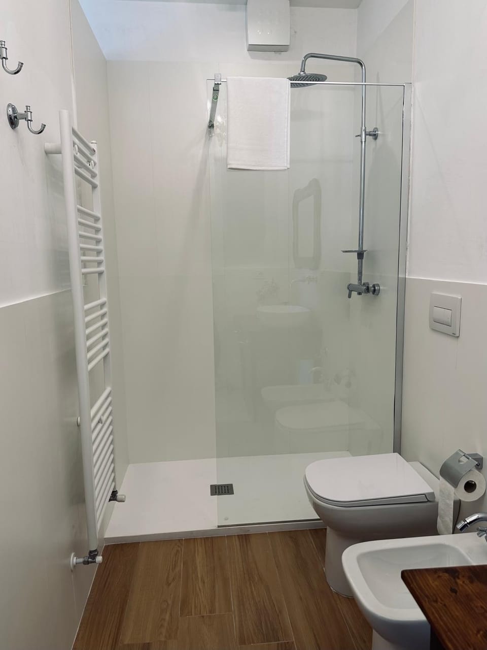 Shower, Toilet, Bathroom, towels