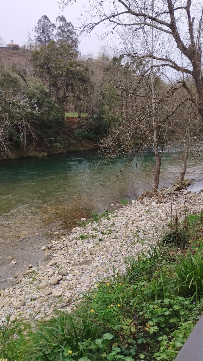 REY AURELIO 2 Apartment in Cangas de Onís