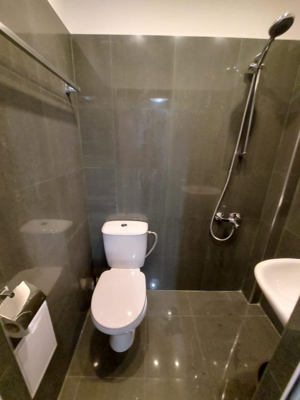 Toilet, Bathroom