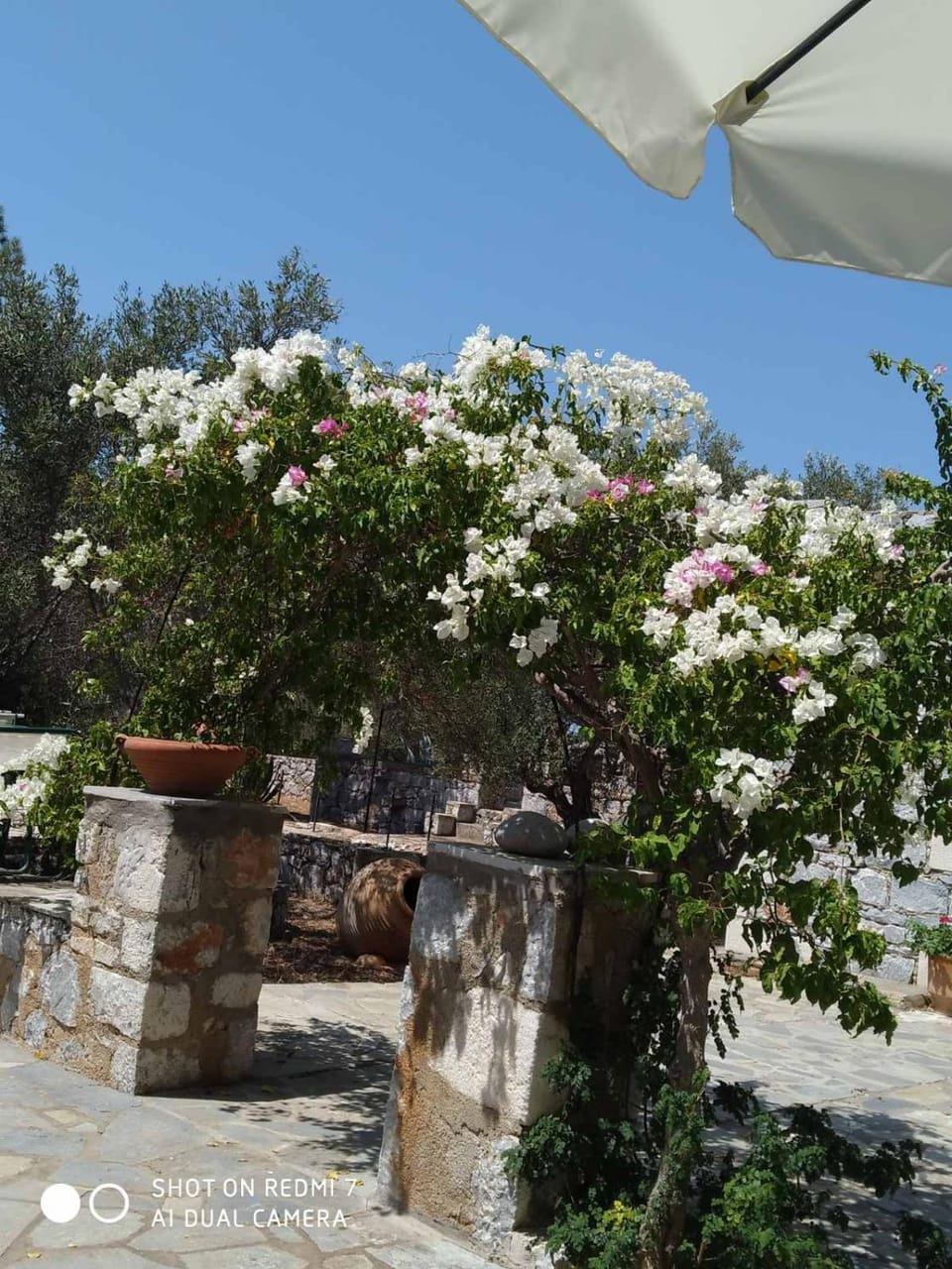 Charouda stone tower xenonas Apartment in Peloponnese Region