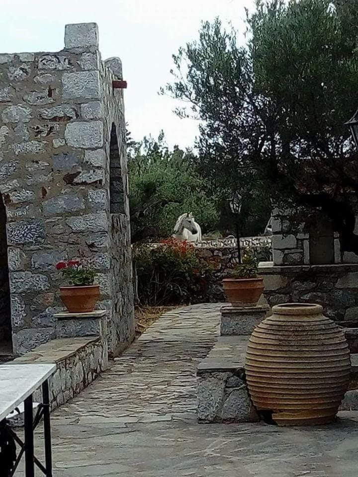 Charouda stone tower xenonas Apartment in Peloponnese Region