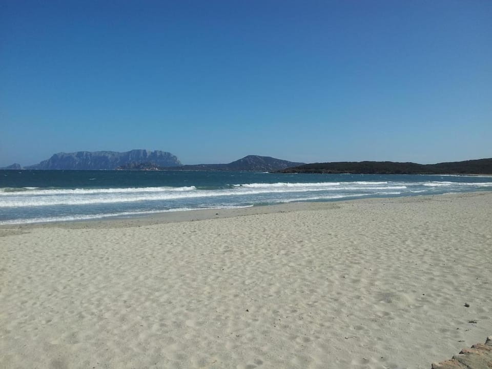 Domo Janas Affittacamere Guesthouse Bed and Breakfast in Olbia