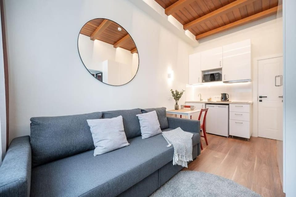 Cozy studio in the city center Apartment in Vilnius