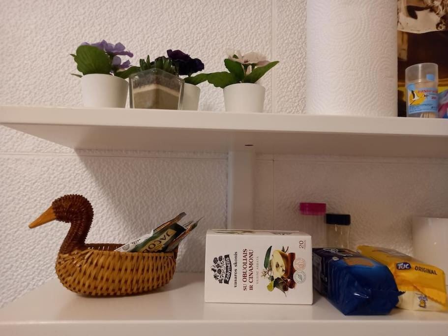 Tiny center G studio Apartment in Lithuania