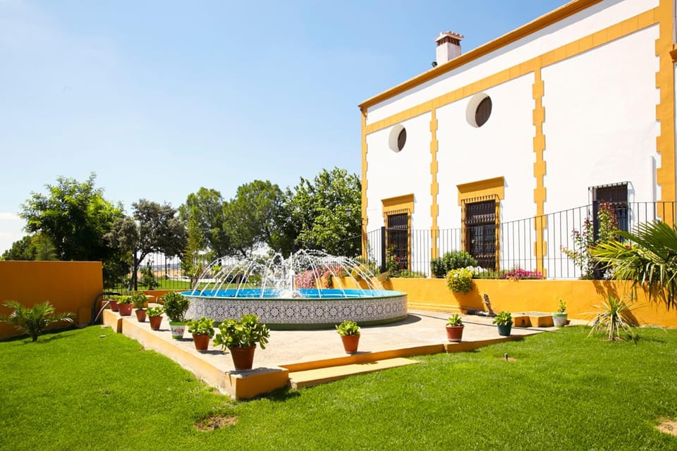 Garden, Area and facilities