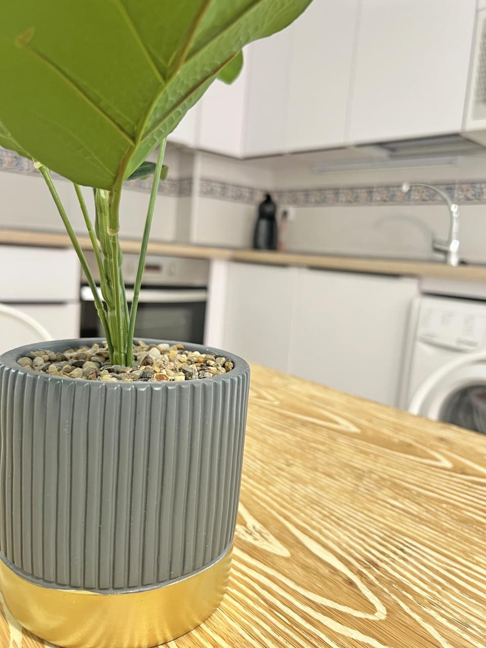 Kitchen or kitchenette, stove, washing machine