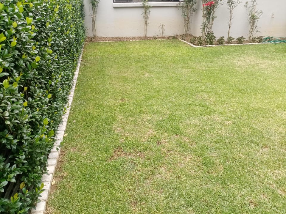 Natural landscape, Garden, Garden view