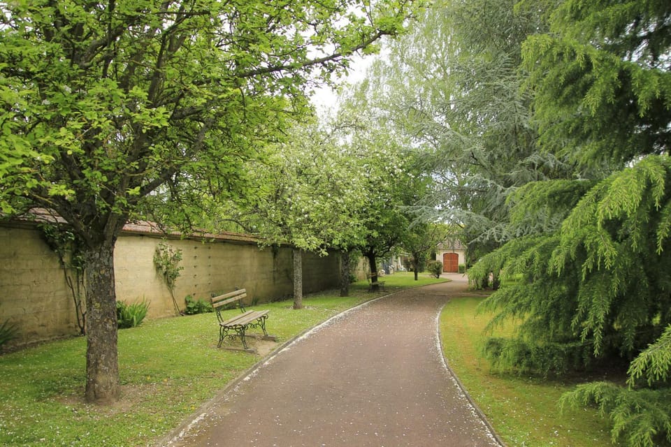 Natural landscape, Garden