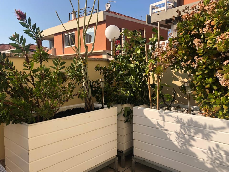 Affitta Camere Borgo Marina Bed and Breakfast in Bordighera