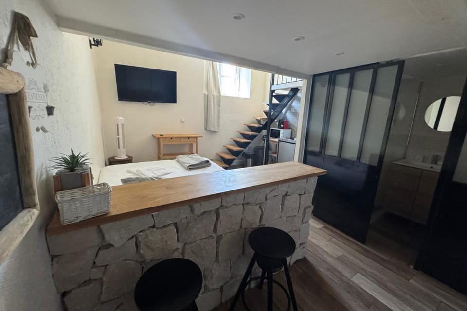 Charming Studio for 2 Guests Quai de Saône Apartment in Lyon