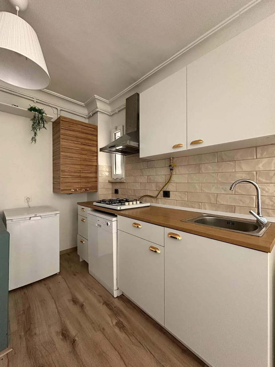 dishwasher, pet friendly, stove, kitchen
