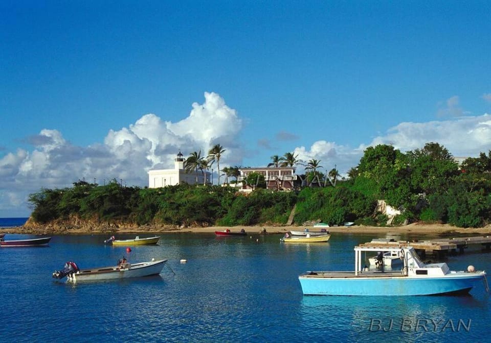 Oceanview Apartment with Garden Access Apartment in Vieques, Puerto Rico