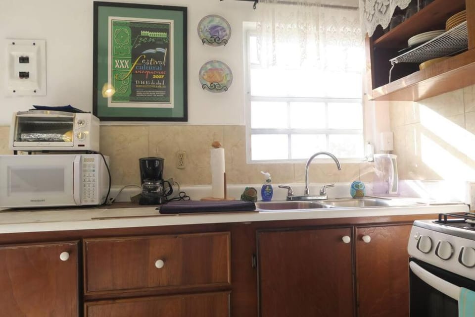 Oceanview Apartment with Garden Access Apartment in Vieques, Puerto Rico