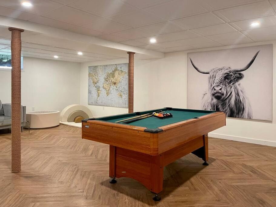Billiard, Game Room