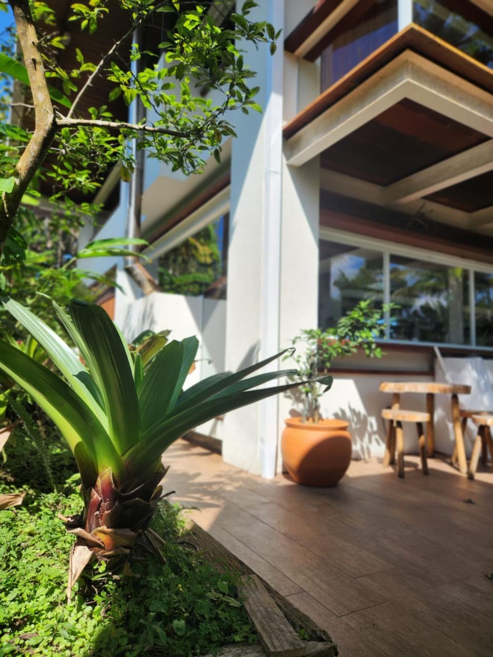 Property building, Patio, Day, Garden, Balcony/Terrace