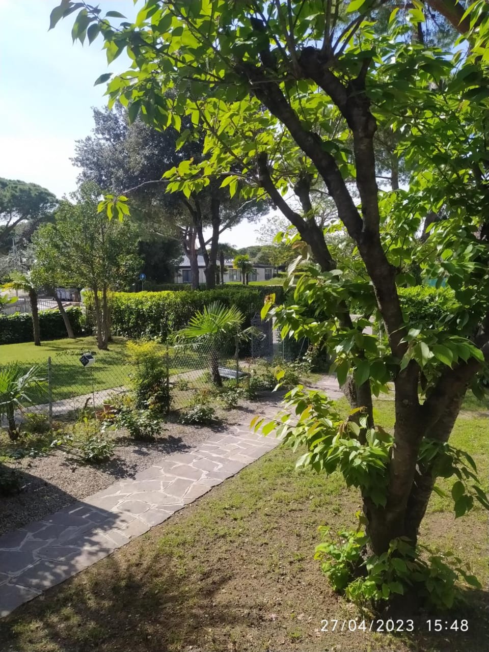 Garden view