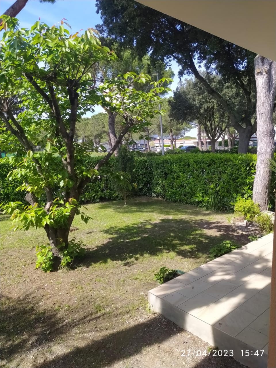 Garden view