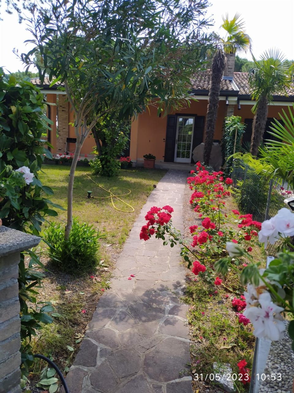 Property building, Garden, Garden view