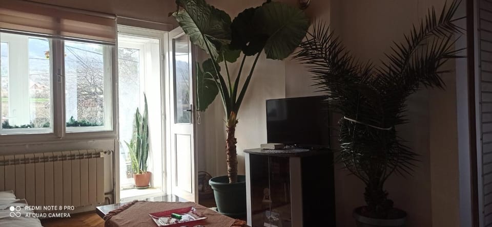 Bosa House in Serbia