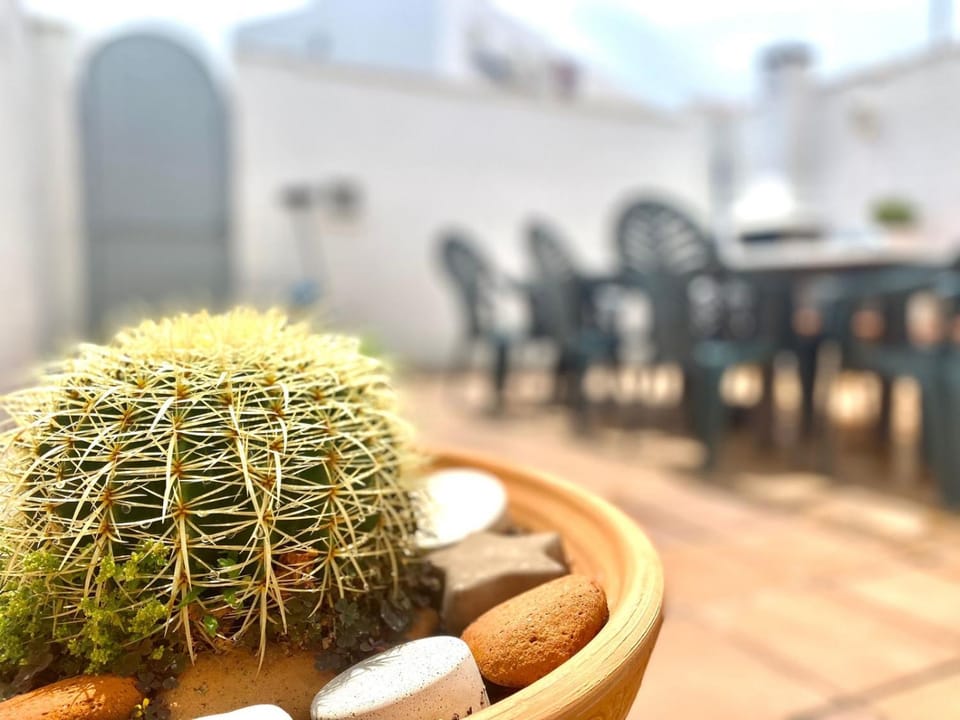 Patio, Balcony/Terrace