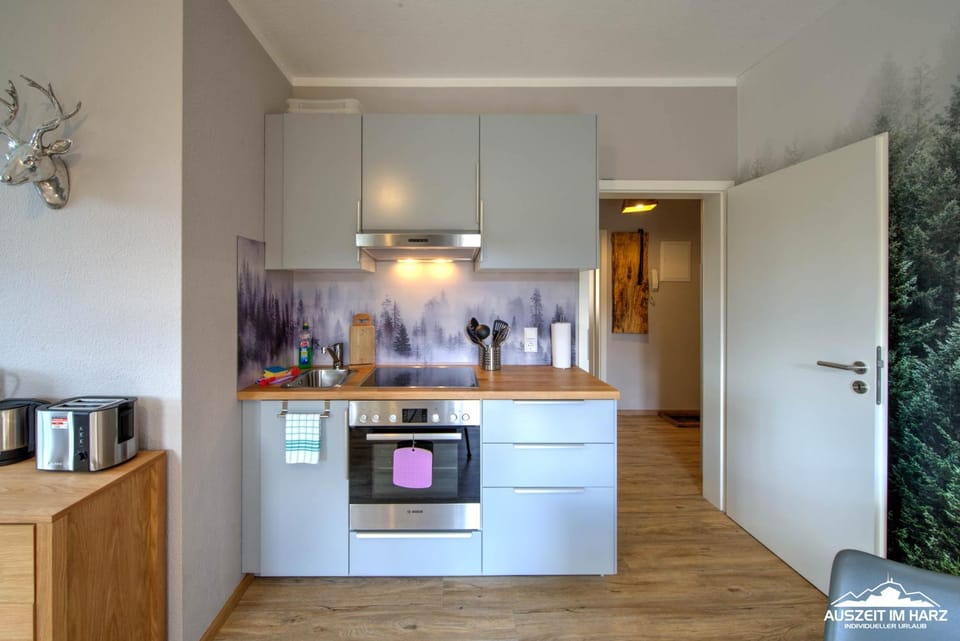 Auszeit-im-Harz Haus 1 Wohnung Wurmberg Apartment in Braunlage