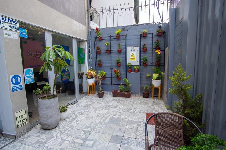 Patio, Garden